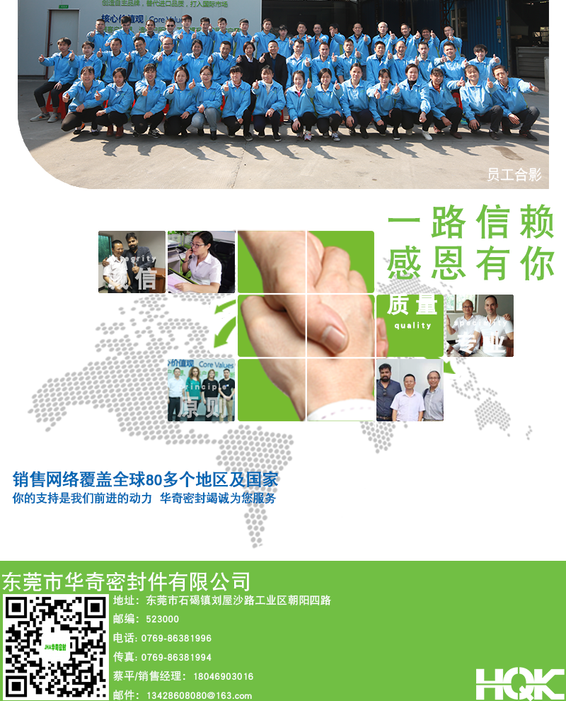 氟膠TC骨架詳情_10