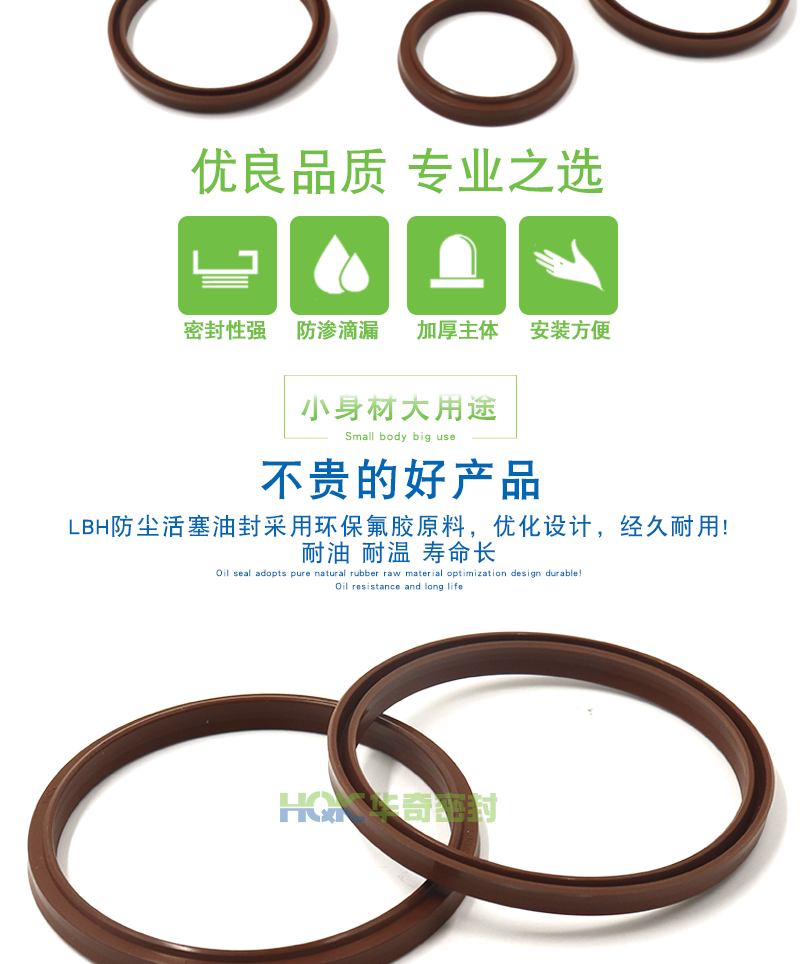 LBH氟膠防塵油封詳情_02
