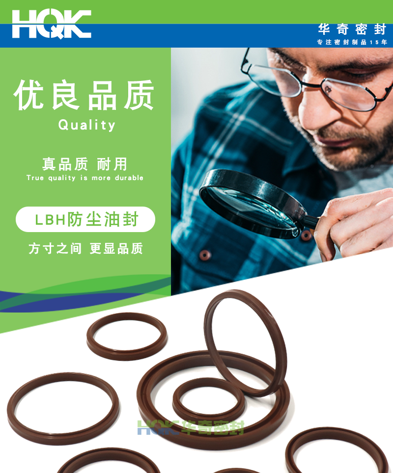 LBH氟膠防塵油封詳情_01