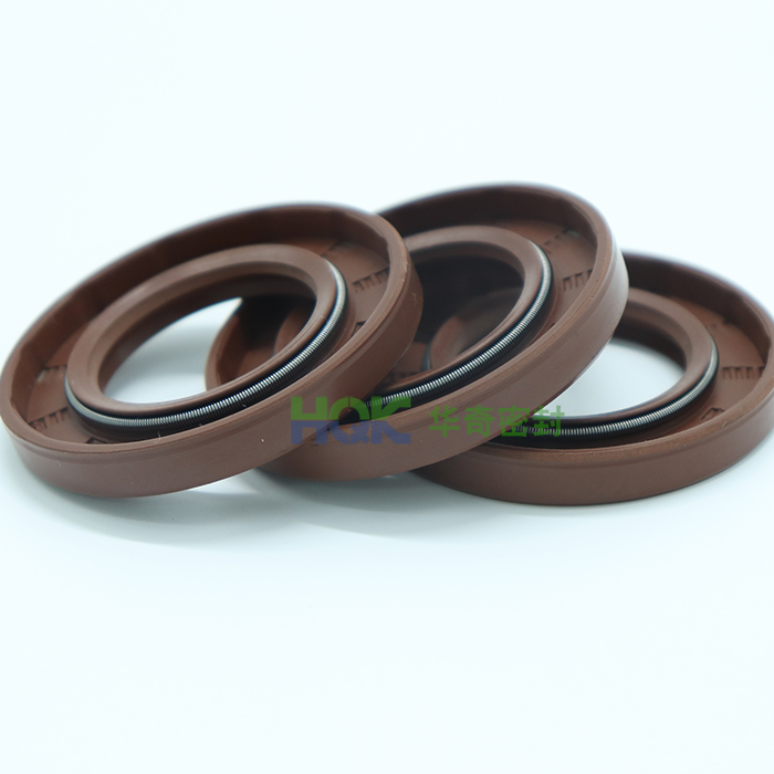 骨架油封1 骨架油封1